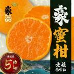 豪 蜜柑 5kg