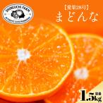 五代目が見極めた YWTK134