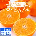 紅まどんな と同品種 愛媛果試28号 3.5kg