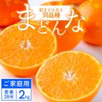 紅まどんな と同品種 2kg