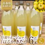 はるか きた りんごジュース 1L×6本セット