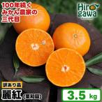 麗紅 れいこう 訳あり 3.5kg