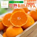 完熟有田みかん サイズ混合 2S~2L 約2.2kg