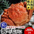 オホーツク海産 浜ゆで毛がに 約800g×1尾