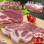 四万十麦豚 肩ロース原木 約2.3kg
