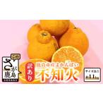 生産者応援品 訳あり よかんばい 鹿島産 不知火 約11kg