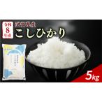 こしひかり 5kg