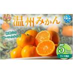 秀品 温州みかん 5kg