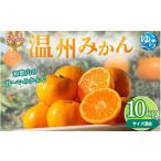 秀品 温州みかん 10kg