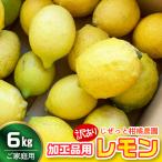 加工品用レモン 6kg