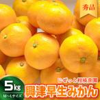 甘さと酸味が丁度いい 濃厚興津早生みかん5kg