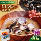 お湯をそそぐだけ 宍道湖産しじみのみそ汁1食用×40袋セット