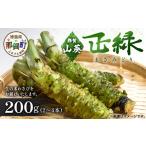 fu.... налог .. васаби ( правильный зеленый ) примерно 200g 2~4шт.@[ Tokushima префектура .. блок производство человек прямая поставка прямая поставка от производителя книга@ васаби васаби васаби сырой васаби гора . овощи зелень-коренья страна.. Tokushima префектура .. блок 