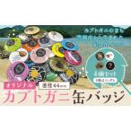 カブトガニ 缶バッジ 4個セット 観光協会