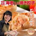 焼き餃子 羽田名物 海老入り焼き餃子 10個入り