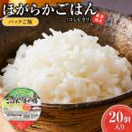 パックご飯 JA ほがらかごはん 20個入り