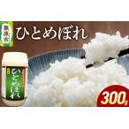 ふるさと納税 米 白米 