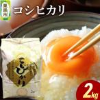 米 白米 令和8年産 コシヒカリ 2kg