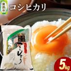 米 白米 令和8年産 コシヒカリ 5kg
