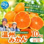 温州みかん 10kg