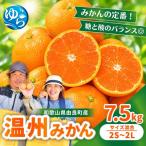温州みかん 7.5kg