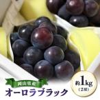 オーロラブラック 約1kg