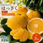 和歌山 はっさく 約3kg