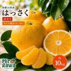 和歌山 はっさく 約10kg