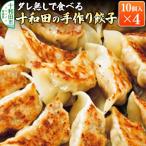 タレ無しで食べる十和田の手作り餃子 10個入り×4パック