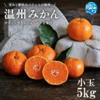 温州みかん 5kg