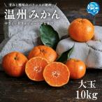 温州みかん 10kg