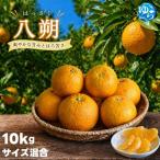 八朔 10kg