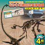 恐竜×海洋化石 穂別恐竜博物館 共通入館券