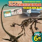 恐竜×海洋化石 穂別恐竜博物館 共通入館券
