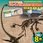 恐竜×海洋化石 穂別恐竜博物館 共通入館券