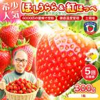 いちご ほしうらら 約300g