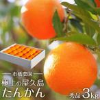 屋久島産たんかん 3キロ箱 秀品 用としても