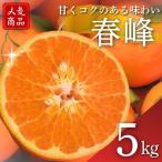 春峰 5kg