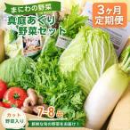 セット 詰合せ 3カ月定期便 真庭あぐり野菜セット