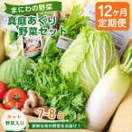 セット 詰合せ 12カ月定期便 真庭あぐり野菜セット