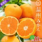 みかん 森本農園 約10kg