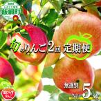 旬のりんご 葉とらず 無選別 5kg