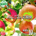 旬のりんご 葉とらず 無選別 10kg