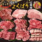宮崎牛よくばり定期便全6回 ステーキ 焼肉