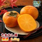 たねなし柿 2.5kg