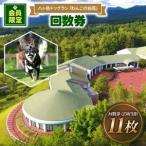 八ヶ岳 ドッグラン わんこのお庭 回数券 11枚