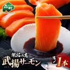 開拓の志 武揚サーモン 活〆1本 サケ さけ