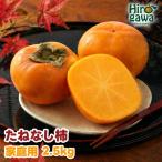 たねなし柿 2.5kg