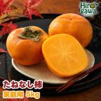 たねなし柿 5kg
