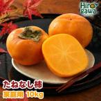たねなし柿 10kg